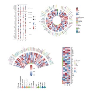 中药复方网络药理学服务数据库挖掘生信分析定制分子对接核心靶点