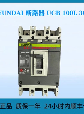 HYUNDAI 断路器 UCB 100L 30A