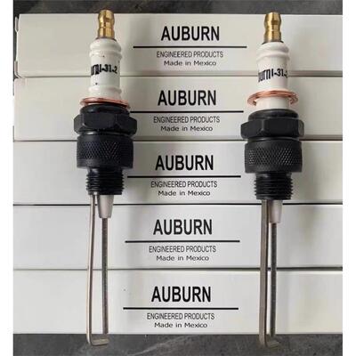 美国I-31奥本Auburn火花