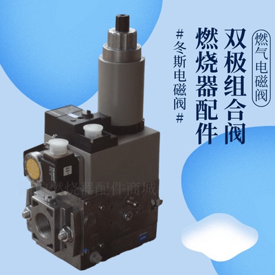 DUNGS组合阀MB-ZRDLE4071