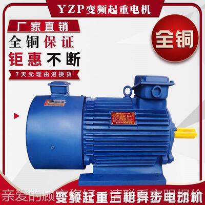 Y机ZP三相步电动机38/0v卷扬行车马达5.5/7.51异1/15945大功率