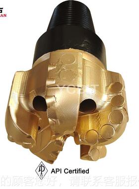 190mS225m复合水片钢体DPDC钻头 刀翼 井油井用PC钻头