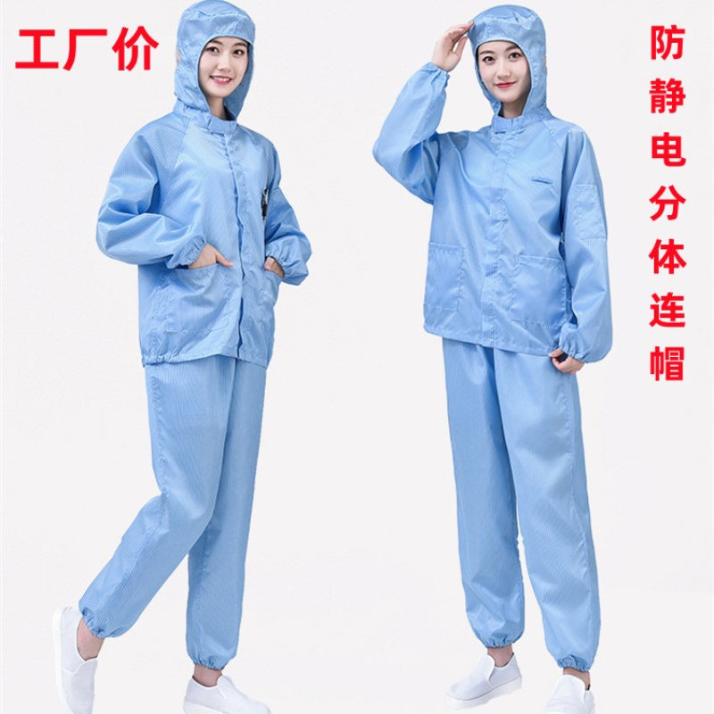 批发防静电分体连帽无尘车间洁净服防护服防静电服防尘服食品厂
