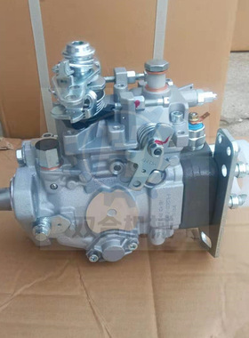 22100-17010 2210017010 22100-5D180 221005D180油泵总成