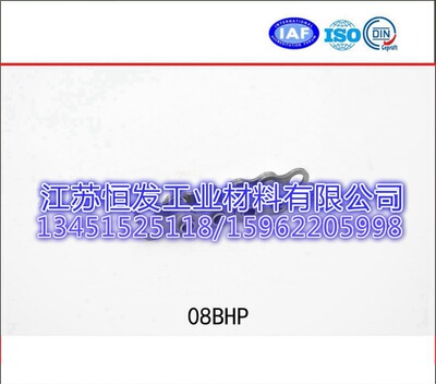 厂家供应 08B空心销轴链 08BHP空心链 优质空心链条 串轴链