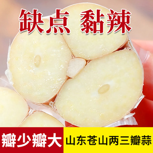 大蒜蒜头大蒜头25年山东苍山两三瓣新鲜干蒜10斤农家蒜5白皮蒜头