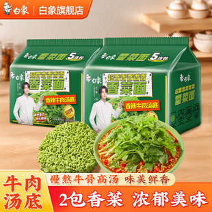 白象香菜泡面便面整箱香辣红烧番茄牛肉味 王一博代言