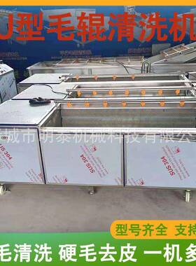 黄芩百部U型毛辊清洗机蜜薯紫薯清洗去皮机地环鬼子姜去泥沙设