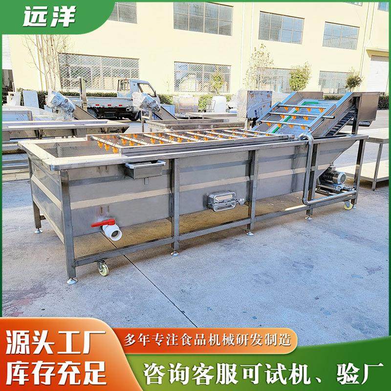 多功能喷淋式气泡清洗机红枣山楂桃子清洗设备水产净菜加工清洗,清洗/食品/商业设备,其他食品加工设备,淘宝优惠券,粉丝福利购,淘宝优惠卷