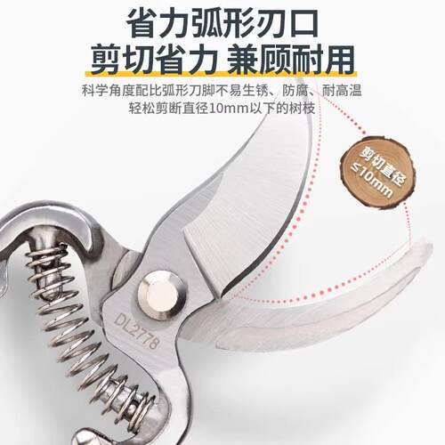 德国新升级剪树枝专用剪刀园林果树粗枝园艺修枝剪修花剪SK5剪子