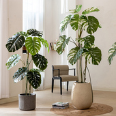 掬涵仿真绿植龟背竹假树大型植物室内客厅景观落地盆栽装 饰摆件