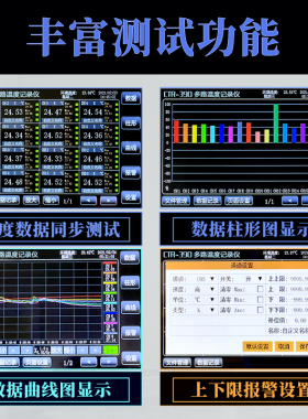 瑞希RuiXi无纸记录仪温度曲线巡检仪多路工业级温升测试仪CTR-380
