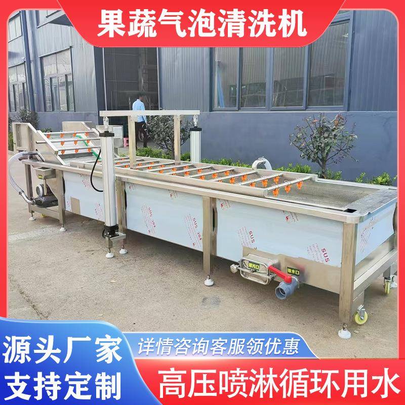 芹菜大葱气泡清洗机枇杷杨梅鼓浪式清洗机芪人参去泥沙清洗设备