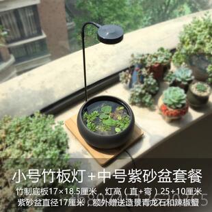 正品创意紫砂陶瓷鱼缸景桌面生态盆造景物微观水培植盆景萍浮观赏