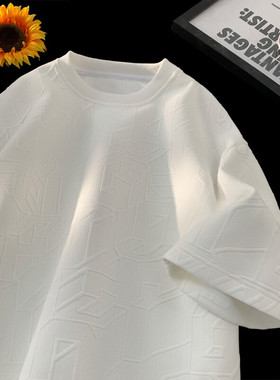 2025 夏季新款 港风摆拍大码肌理感短袖T恤M-5X HT25147-特P20