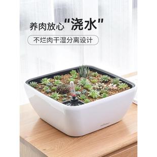 多肉专用花盆懒人自吸控水盆大口径植物创意造景食虫捕蝇草盆栽盆
