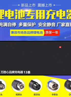 三元锂电池18650电瓶48V13串电动车54.6V6A7A8A9A10A大功率充电器