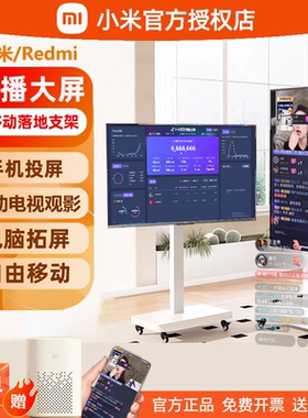 REDM小米直播大屏无线手机直播投屏一体机显示器电视屏幕移动专用