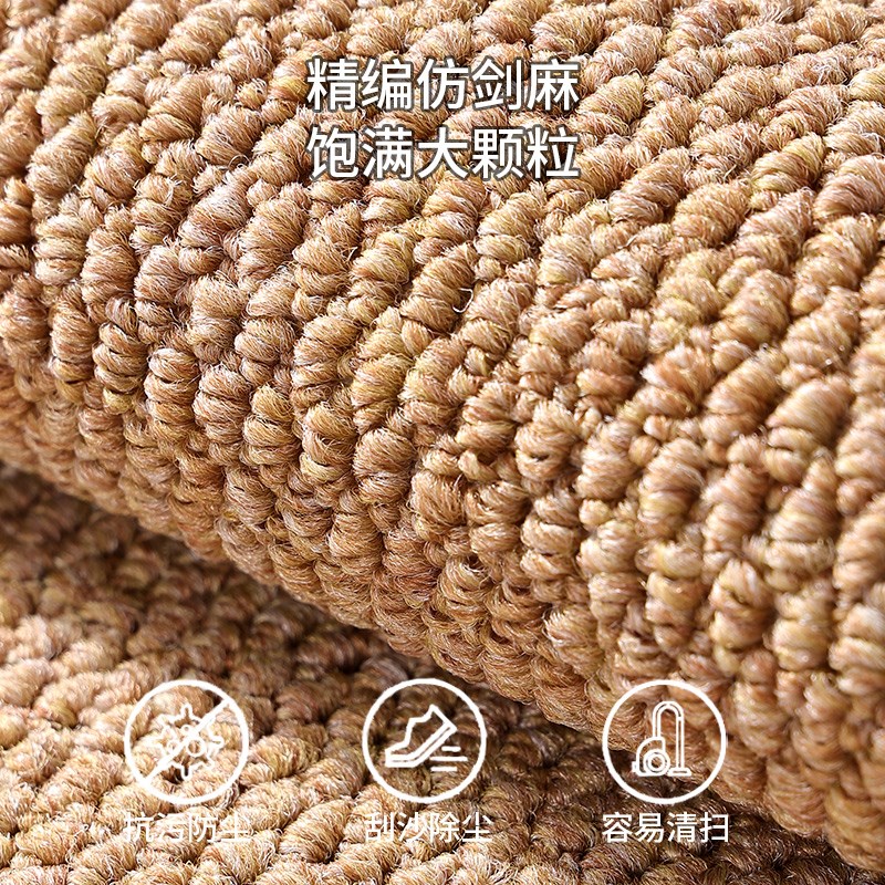 入户门地垫家用垫子大门口脚垫进门门垫2024新款防滑玄关门厅地毯