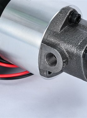 VNLP能力电动加油泵12V/24V/220V直流齿轮泵小型抽油泵三角泵电机