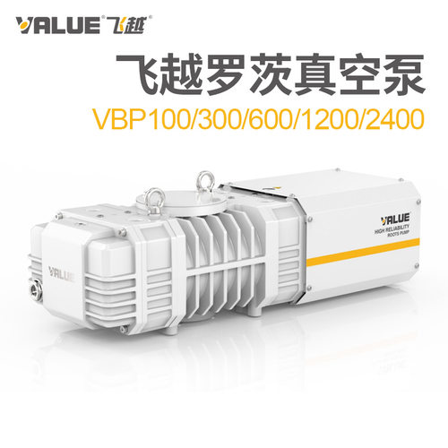 value飞越罗茨真空泵VBP100/300/600/1200/2400罗茨泵机组系统