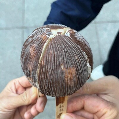 2支普拉拉拧四分之椰冰淇淋