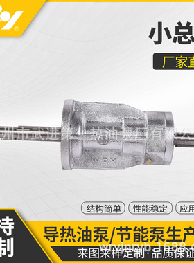 江苏 WRY导热油泵小总成  离心热油泵配件 厂家直销