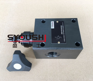 溢流阀DBDH10G10B 200 100 DBDH10G1X DBDH10G10 直动式