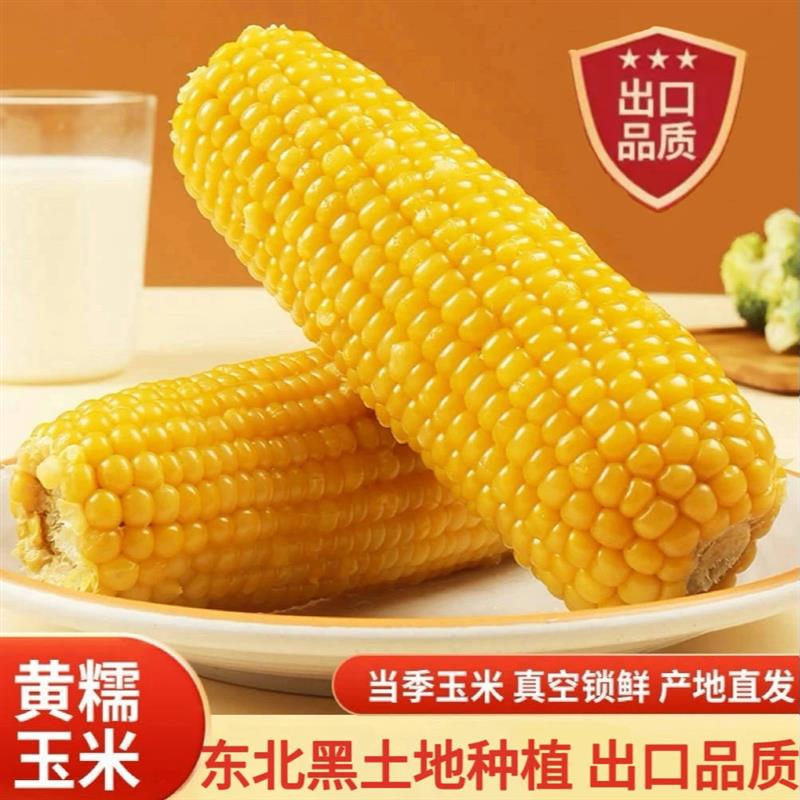 恋糯东北黄糯玉米低脂粗粮新鲜糯玉米棒营养早餐甜粘黏真空包装袋