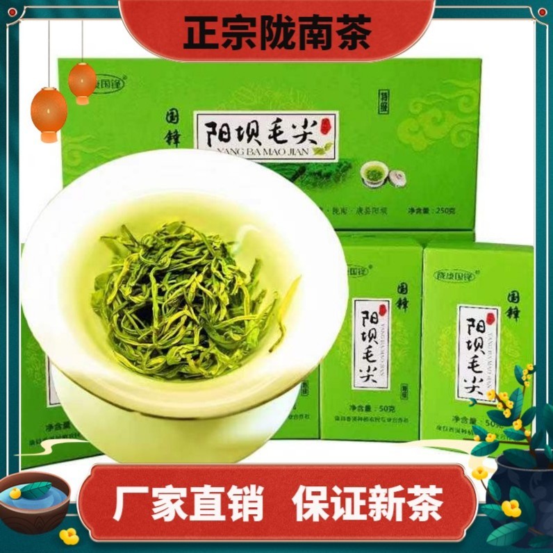 2024春茶绿茶特级毛尖高山云雾浓香型正宗陇南茶叶特级毛尖盒装