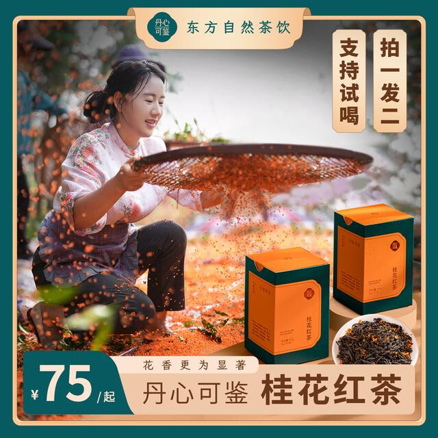 桂花红茶乡愁沈丹心可鉴高山小种级福建正宗茶叶花茶好礼60g*2盒