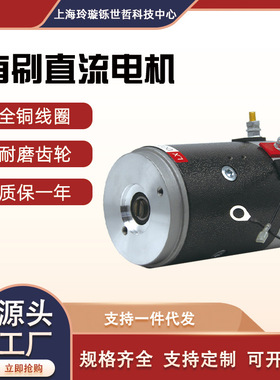 电机12v24v2200W汽车尾板液压动力单元油泵环卫车直流马达大功率