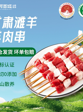 阿西娅羊肉串3瘦2肥户外烧烤露营