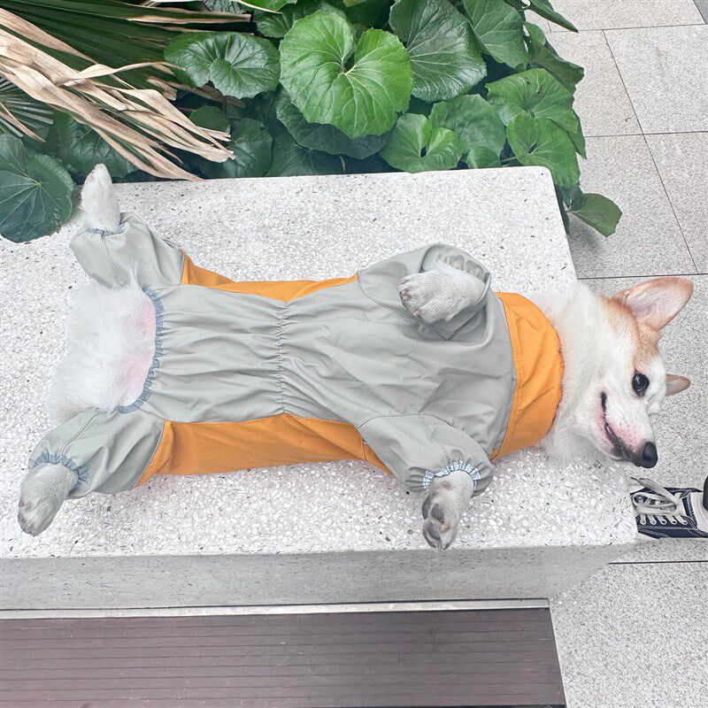 宠物狗雨衣四脚全包柯基专用雨衣中小型I犬法斗巴哥短腿狗专用雨