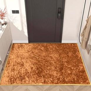 金黄色入户门垫招财进宝地垫土黄色客厅玄关地毯高档进Z门防滑脚