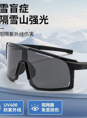 爬雪山护目镜登山男户外雪地冬天防沙防I风骑行太阳眼镜墨镜滑雪