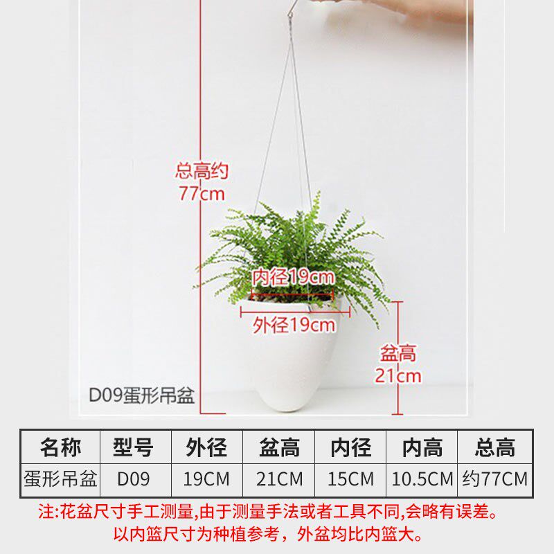 垂吊创意蛋形吊兰花n盆懒人自吸水挂壁绿萝常春藤塑料加厚阳台悬