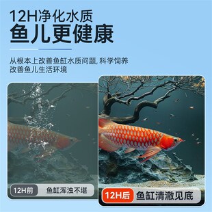 鱼缸过滤材料硝化细菌屋陶瓷环鱼池净水石M英球过滤器周转箱底滤