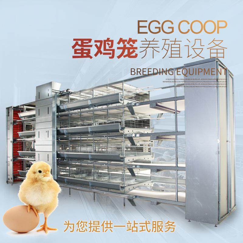 蛋鸡养殖设备热镀锌全自动立体式养鸡设备自动化层叠养鸡全套设备,畜牧/养殖物资,特种养殖设备,淘宝优惠券,粉丝福利购,淘宝优惠卷
