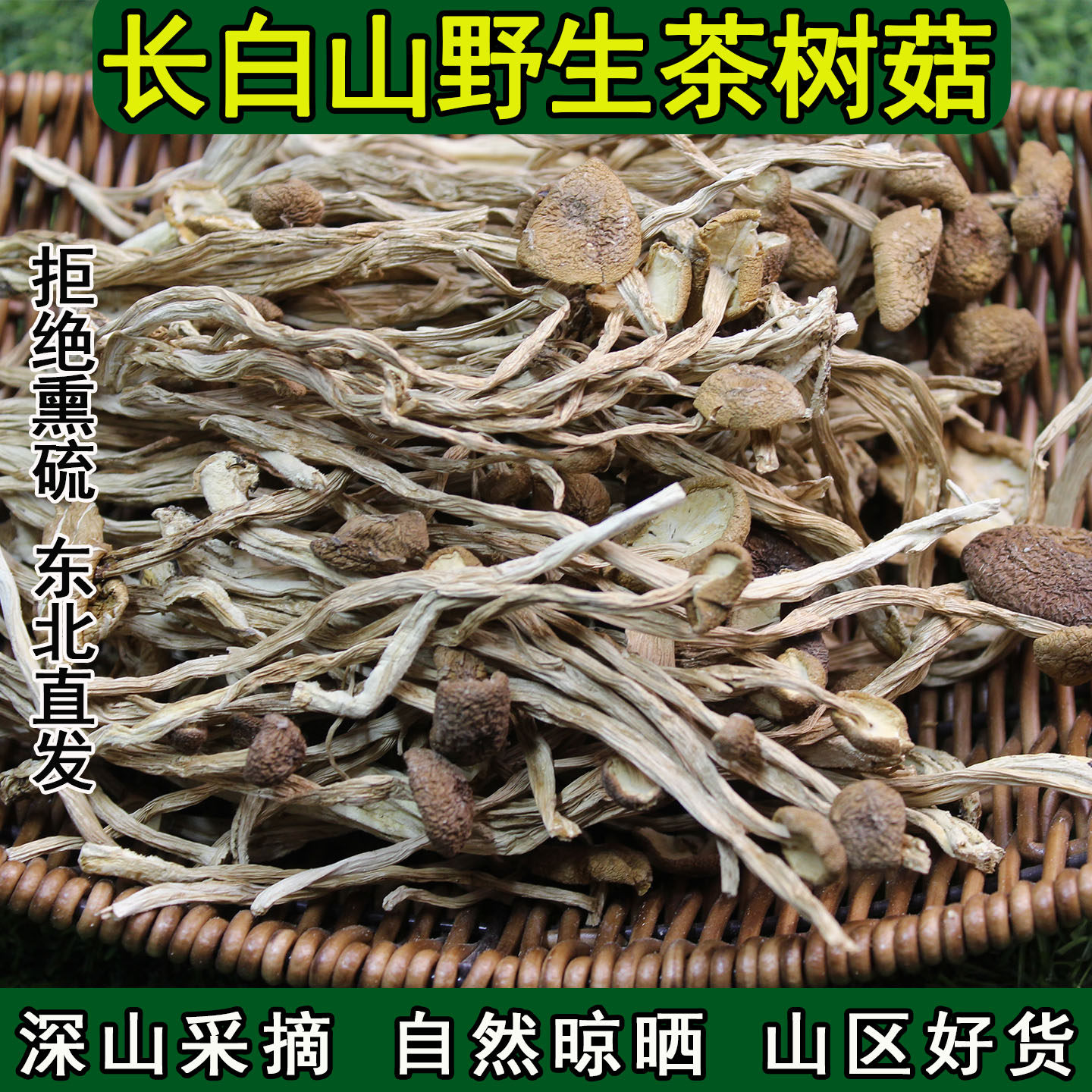 东北特产正宗茶树菇干货特级干茶树菇新鲜商用10斤批发鹿茸菇野生