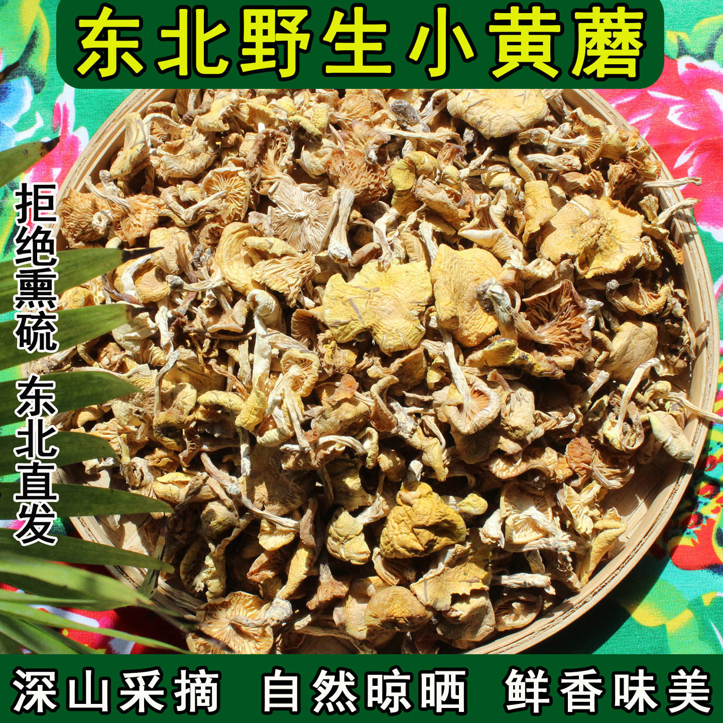 东北野生小黄蘑特产特级干货新鲜黄油蘑阿尔山小黄蘑菇小鸡炖蘑菇