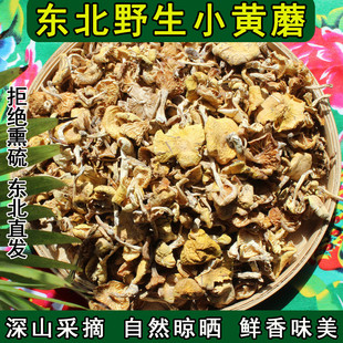 东北野生小黄蘑特产特级干货新鲜黄油蘑阿尔山小黄蘑菇小鸡炖蘑菇