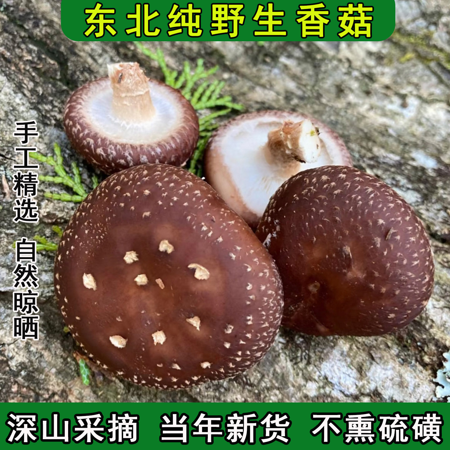 东北特产长白山野生香菇干货特级新鲜无根净重优质椴木花菇珍珠菇