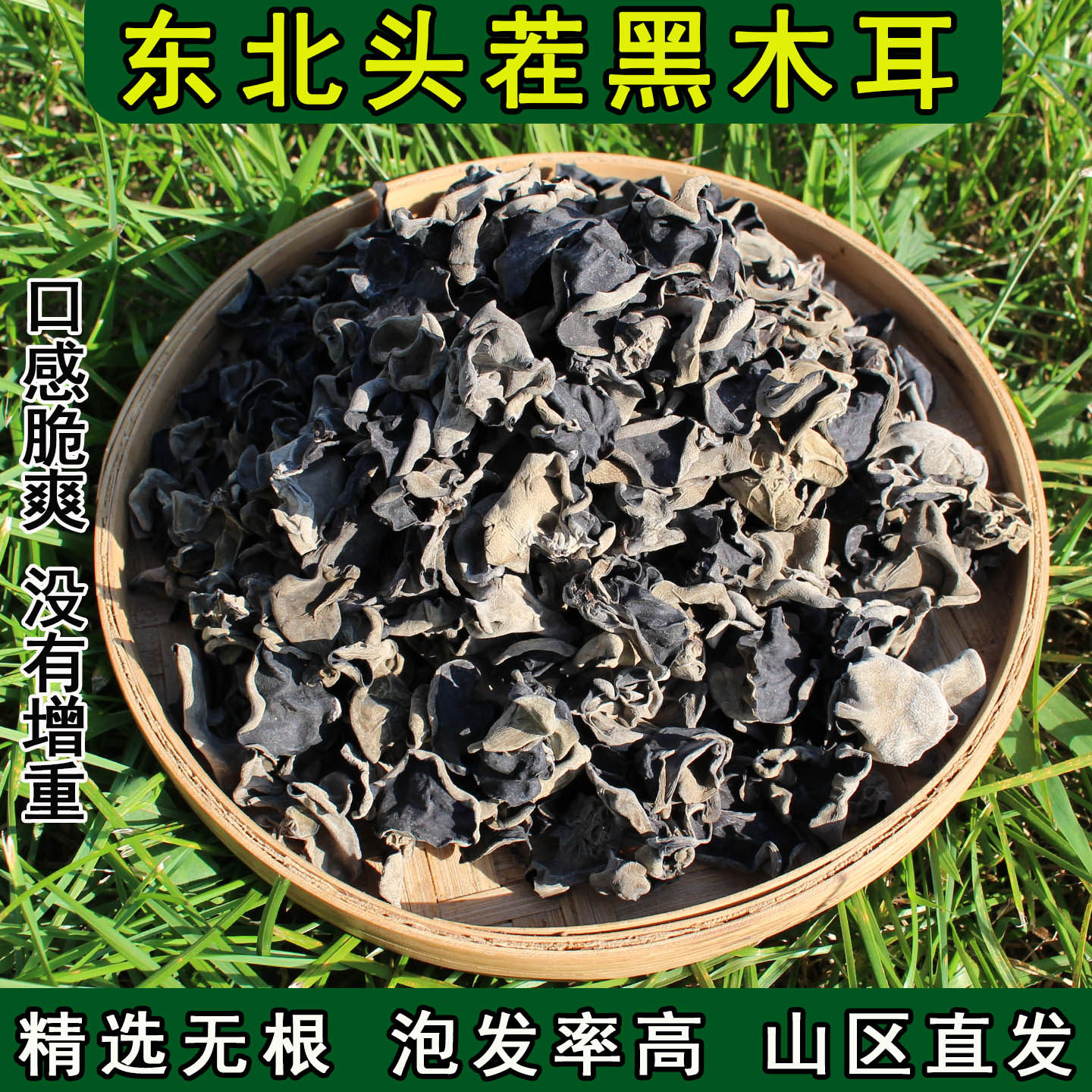 东宁黑木耳黑龙江木耳干货正宗东北特产特级小碗耳秋长白山非野生