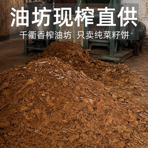 新鲜菜籽饼片状菜枯油枯饼有机肥