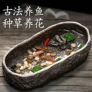 古法生态陶瓷金鱼缸小型客厅阳台睡碗莲荷花盆石头乌龟一体饲养池
