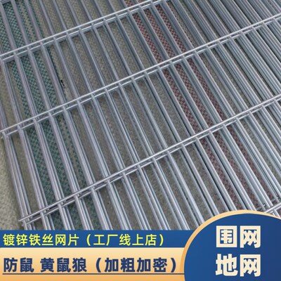 加粗镀锌网片长孔鸽舍鸡笼兔笼狗笼养殖地网镀锌铁丝网围栏养殖网