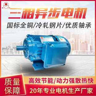 6铜芯电机 三相电机ye2 90s 6极0.75kw机械设备配套1.1kwYE2 90M