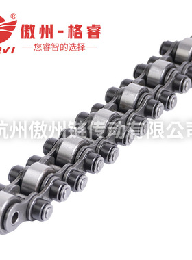 12BS单倍速链条08BS-C27-P16 16BS-65-P38托盘电子产品输送流水线