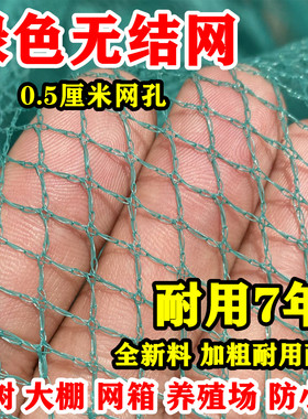 绿色防鸟网围网防鸟罩嘉宝果树防鸟用的网果园果树大棚渔网养殖网